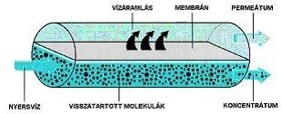 Az ammónia megkötése ioncsere és felületi abszorpció útján történik. Az ioncsere folyamata sokkal meghatározóbb, mint a felületi megkötésé.