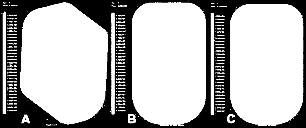 Frisardi et al.