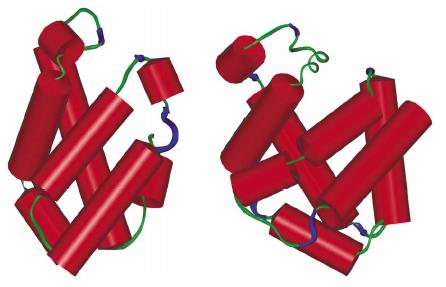 M. J. Foster: Micron 2002, 33, 365-384.