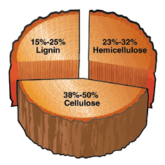 25 Ethanol Fermentation: Starch Hydrolysis Cellulosic Ethanol Hemicellulose Hydrolysis Acid,
