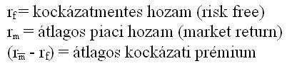 11 A kockázat és a hozam közötti összefüggést a következő ábra szemlélteti.