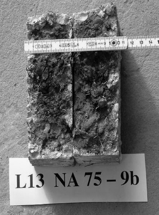 3. fénykép. L6 jelû hámlasztott próbatest (lásd 11. ábra) (megjegyzés: a középsõ, sötétebb tónusú tartományok fenolftalein pozitívak) 5. fénykép. L1 jelû hámlasztott próbatest (lásd 11.