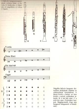 FUVOLA (PÉLDA) Az egyszerű cső helyett, nyílások vannak fúrva rajta (fafúvósok), kromatikus skálákat lehet rajta játszani viszonylag nagy terjedelemben Ha minden lyukat lezárva tartunk, akkor a