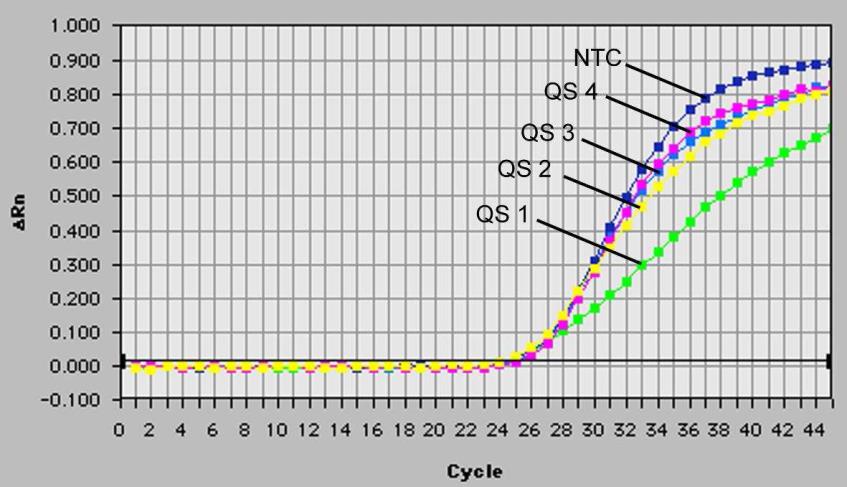 25. ábra: Detection of the Kvantitációs standardok detektálása (EBV LC/RG/TM QS 1 4) FAM fluoreszcens jel mérésével (ABI PRISM 7700 SDS). NTC: nem-templát kontroll (negatív kontroll). 26.