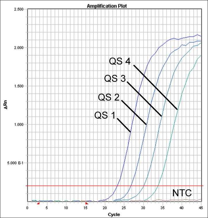 27. ábra: Kvantitációs standardok (EBV LC/RG/TM QS 1 4) detektálása FAM fluoreszcens jel mérésével