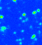 occurency (#) y (m) Intensity (arb. u) intensity (arb. u.) SiV a nanogyémántban: az univerzum ajándéka Efremovka (CV3) and Orgueil (CI) meteoritok nanodiam. powder 738.6 nm CVD diam. Imp. IIa diam.