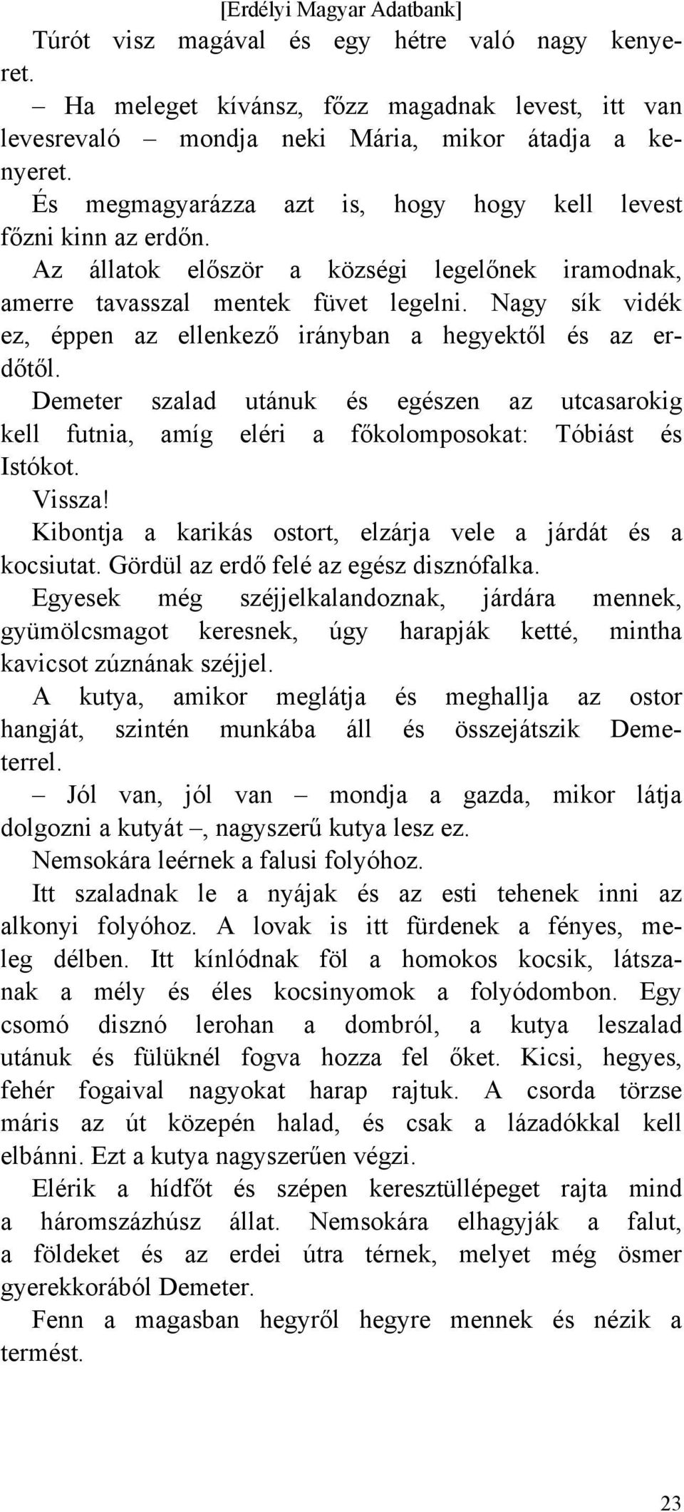 Nagy sík vidék ez, éppen az ellenkező irányban a hegyektől és az erdőtől. Demeter szalad utánuk és egészen az utcasarokig kell futnia, amíg eléri a főkolomposokat: Tóbiást és Istókot. Vissza!