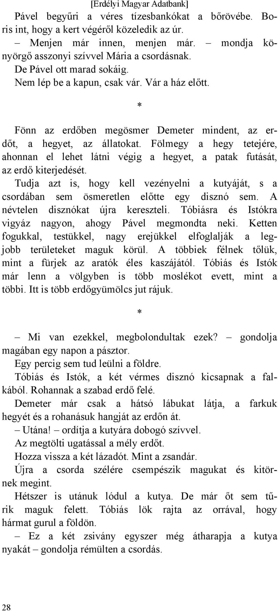 Fölmegy a hegy tetejére, ahonnan el lehet látni végig a hegyet, a patak futását, az erdő kiterjedését.