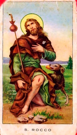 About the history of animal therapy 79 4 5 In the middle Ages the knowledge of the antiquity lost, people used animals more as tools than therapy method.