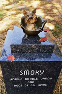 About the history of animal therapy 81 because the presence of Smoky had a very good effect on the other patients.