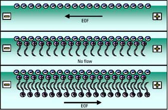 Elektroozmózis http://www.chemsoc.