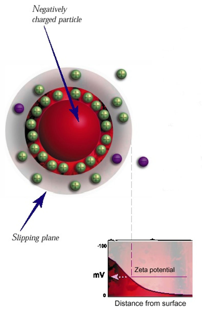 Elektrokinetikus vagy zétapotenciál A nyírási síkon belül a részecske egy dinamikai egységként viselkedik Elektrolit hatás Kolloidok oldataiban: elektromos kettısréteg jön létre minden egyes