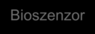 Bioszenzor-szövet interakció Bioszenzor Hidrogélek + PEO Interfázis Szövet Vörösvértest Szenzor Angiogenezis Fehérvérsejt