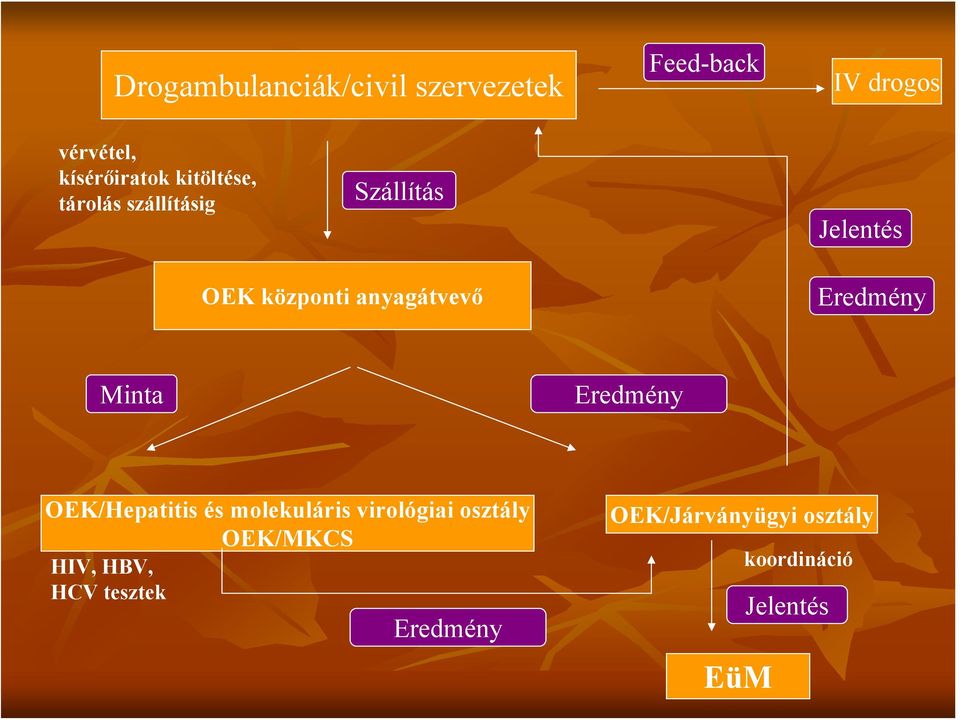 Eredmény Minta Eredmény OEK/Hepatitis és molekuláris virológiai osztály