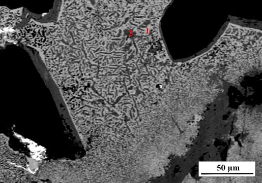 A pátkai Szűzvári-malom fluorit-kvarc-polimetallikus ércesedésének ásványparagenezise 6.22. ábra. Covellin lemezes-pikkelyes halmazai (1) részben már malachittá (2) átalakulva. BSE felvétel.