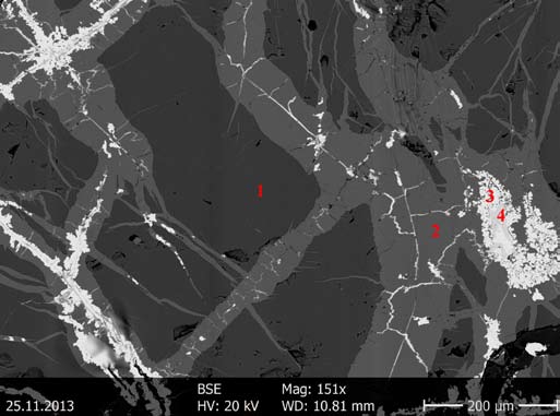 A pátkai Szűzvári-malom fluorit-kvarc-polimetallikus ércesedésének ásványparagenezise 6.6. ábra. Galenit (3), cerusszit (4) és digenit (2) kalkopirit (1) repedéseiben. BSE felvétel.