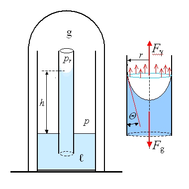 πρgh Adhéziós erő: F g =2rπγ cosθ h=2γ cosθ/ρgr p c =2γ cosθ/r