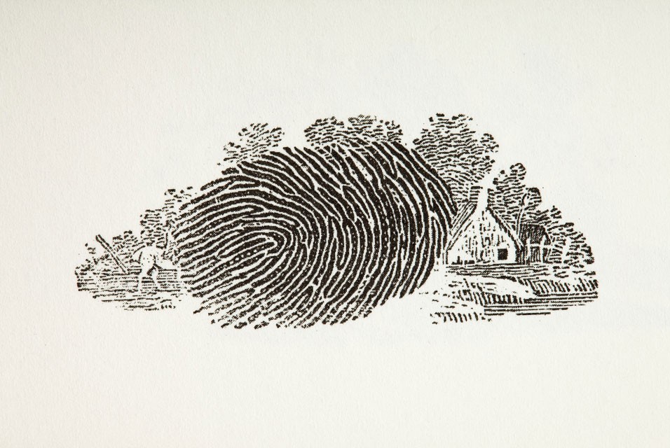 Thomas Bewick, Wood Engraving from