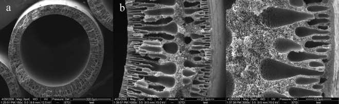 BEVPOR MH Liquid Membrane Cartridge Filter Támasztó membránok The cross-section of hollow