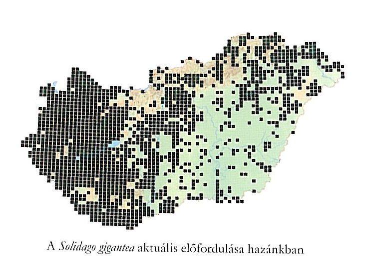 A természetvédelmi szempontból veszélyt jelentő szárazföldi és vízi özönnövények jegyzékén jelenleg 33 szárazföldi és 8 olyan vízi növényfaj található meg, melyek hazánkban nem őshonosak és