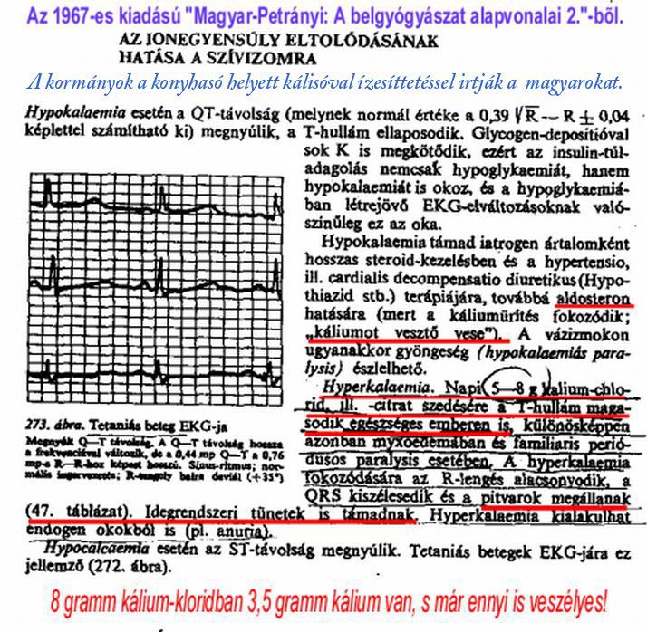 2. Bizonyíték: Élettani tankönyv a kálium EKG torzító