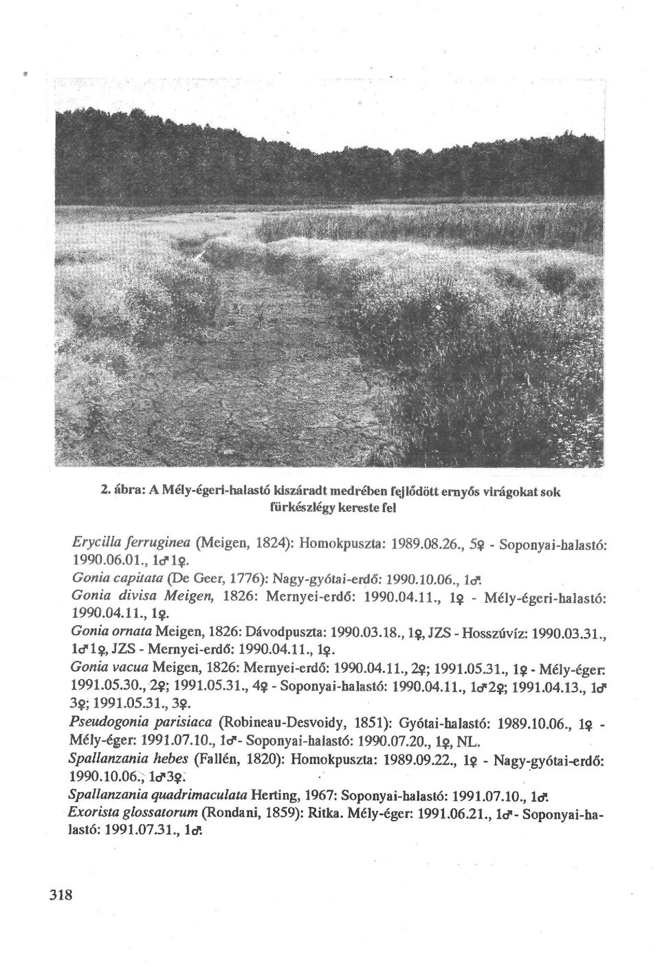 03.18., 1$, JZS - Hosszúvíz: 1990.03.31., ltflc», JZS - Mernyei-erdő: 1990.04.11., lç. Gonia vacua Meigen, 1826: Mernyei-erdő: 1990.04.11., 2$; 1991.05.31., 1$ - Mély-éger: 1991.05.30., 2?; 1991.05.31., 4?