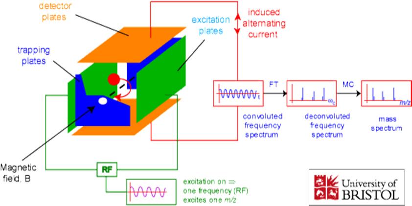 6. ábra Az FT-ICR sematikus rajza Itt gerjesztjük az ionokat a mágneses térre merőleges, oszcilláló elektromos térrel, aminek hatására egy nagyobb (cyclotron) sugárú körpályán fognak mozogni.