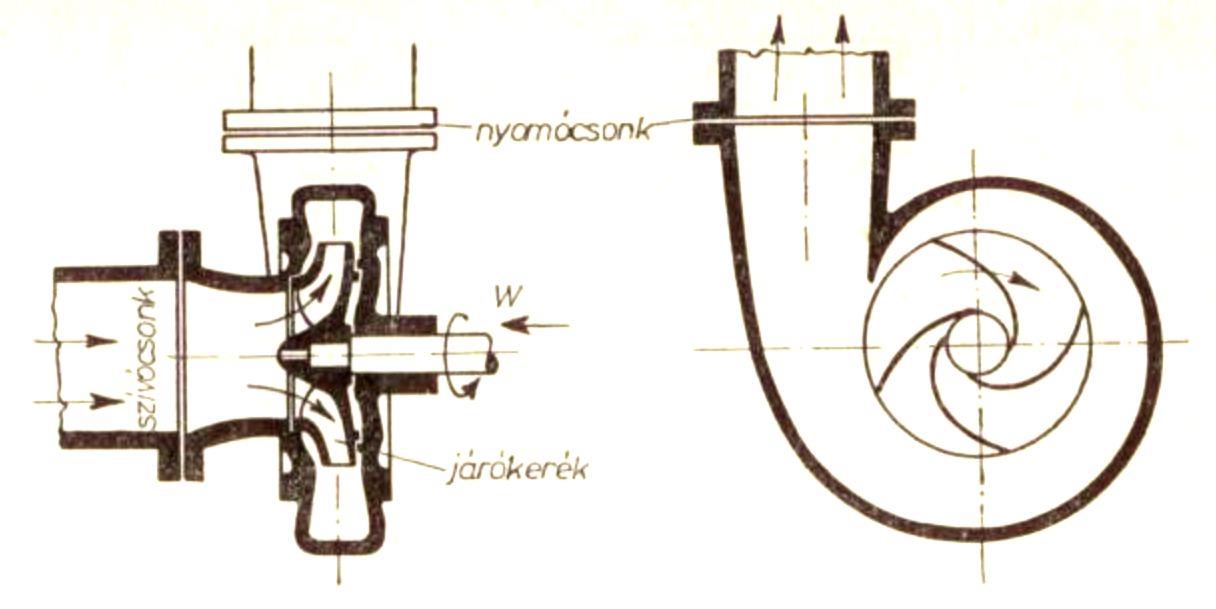 Örényziattyúk