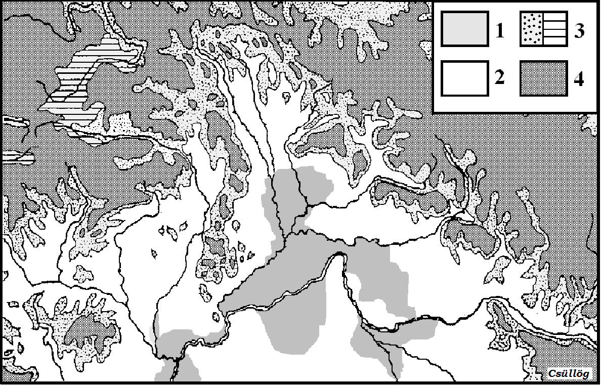 Latorca (Szernye-mocsár), valamint a Bodrog és a Tisza (Bodrogköz) melletti vízzel borított területeket jelentette. 68 22. ábra Aktivitási térszínek a Felső-Tisza vidéken 1. folyó-térszín 2.