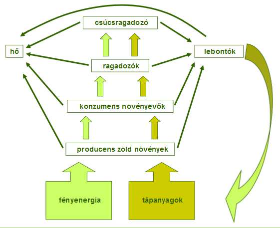 Energia és