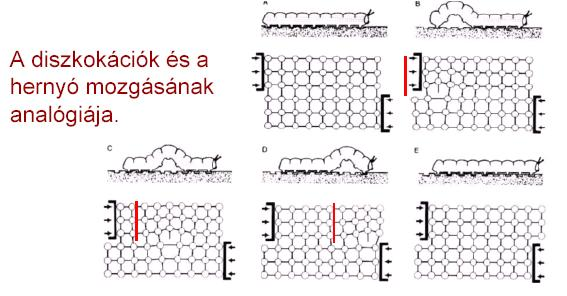 Diszlokációk Frenkel elméleti folyáshatár számítása Számolt/mért folyáshatár: Fe: 440, Al: 423, Cu: 769 Diszlokációk mozgása Diszlokációk Tűkristály (whisker, 1950) kondenzátor Zn, d =