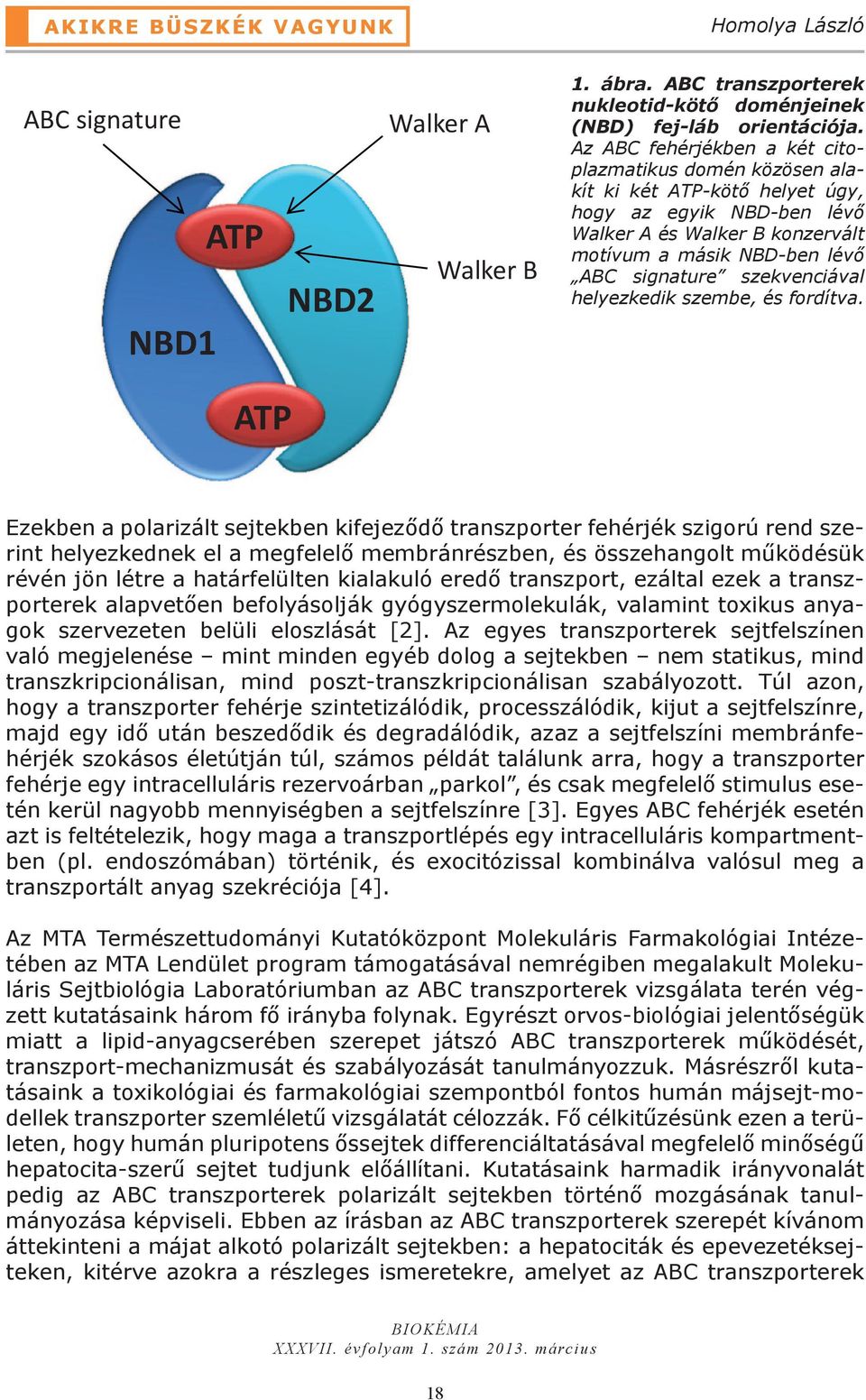 szekvenciával helyezkedik szembe, és fordítva.