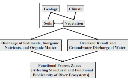 RES - riverine ecosystem