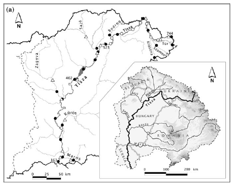 Phytoplankton dynamics in relation to connectivity, flow dynamics and resource availability the case of a large, lowland river, the Hungarian Tisza V. Istvánovics, M. Honti L. Vörös, Zs.