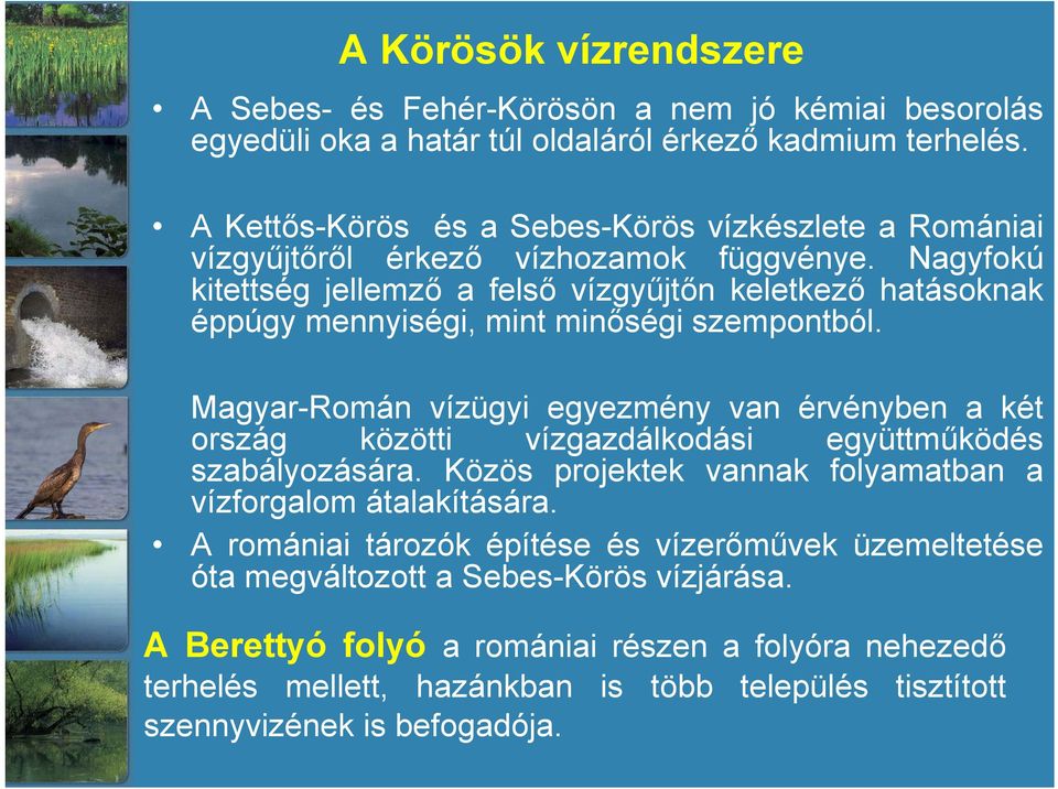 Nagyfokú kitettség jellemző a felső vízgyűjtőn keletkező hatásoknak éppúgy mennyiségi, mint minőségi szempontból.