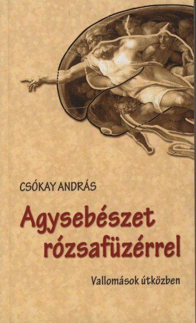 A nemzetközi hírű idegsebész egyetért Teréz anyával, nem az a csoda, hogy végezzük a munkánkat, hanem hogy örömmel tesszük.