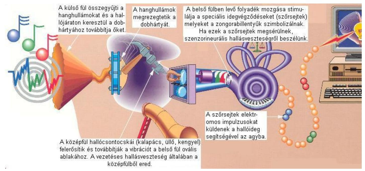 látássérültek számára ez megvalósíthatatlan feladat.