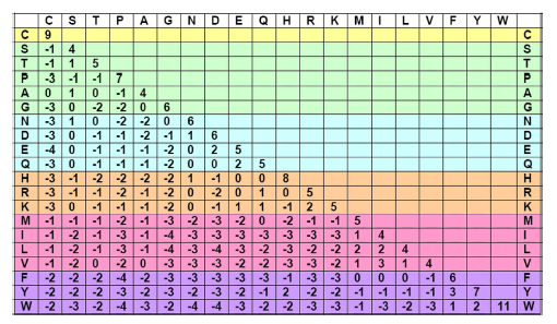 Egy BLOSSUM62 mátrix 5.