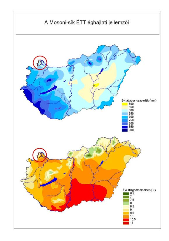 11. táblázat: A nyertes parcellák elhelyezkedése a Hevesi-sík és a Marcal-medence ÉTT-n, 2002-ben A parcellák elhelyezkedése Hevesi-sík Marcal-medence (ha) % (ha) % Az eredeti területre eső parcellák