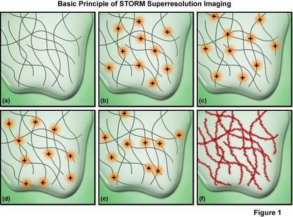 Szuperrezolúció (nanoszkóp) STORM-stochastic optical reconstruction microscopy véletlenszerűen megvilágított szubpopuláció PALM-Photoactivated localization microscopy fotoaktivált szubpopuláció,