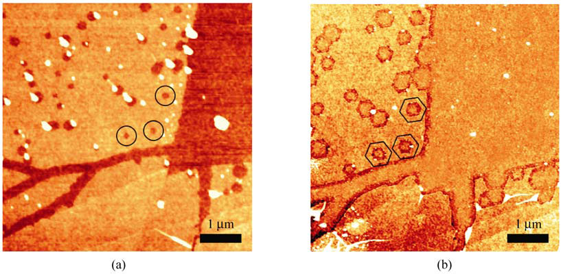 Karbotermikus marás (CTE) O 2 N 2 gázkeverék, 500 C, 40 perc Ar gáz, 700 C Crystallographically Selective