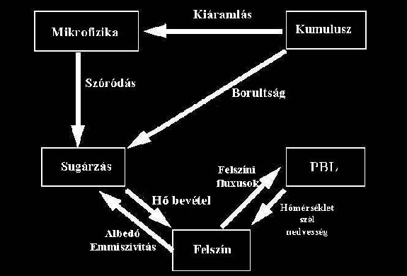 3.6 ábra A felszínborítási formák százalékos eredete 2000-re az 1900-as állapotból kiindulva.