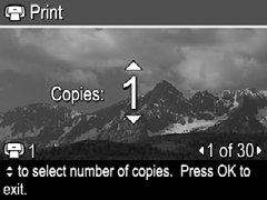 csoportját (lásd A Favorites (Kedvencek) megjelölés hozzáadása a képekhez, 23. oldal). 1. A Photosmart Express menüben a gombokkal jelölje ki a Print (Nyomtatás) elemet, majd nyomja meg a gombot. 2. A Print (Nyomtatás) menüben jelöljön ki egy lehetőséget, majd nyomja meg a gombot.