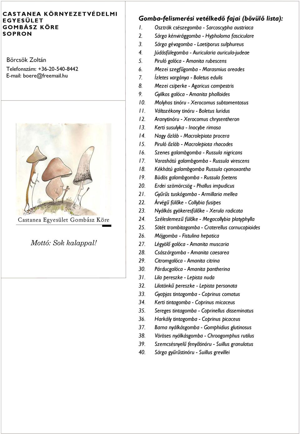 Júdásfülegomba - Auricularia auricula-judeae 5. Piruló galóca - Amanita rubescens 6. Mezei szegfűgomba - Marasmius oreades 7. Ízletes vargánya - Boletus edulis 8.