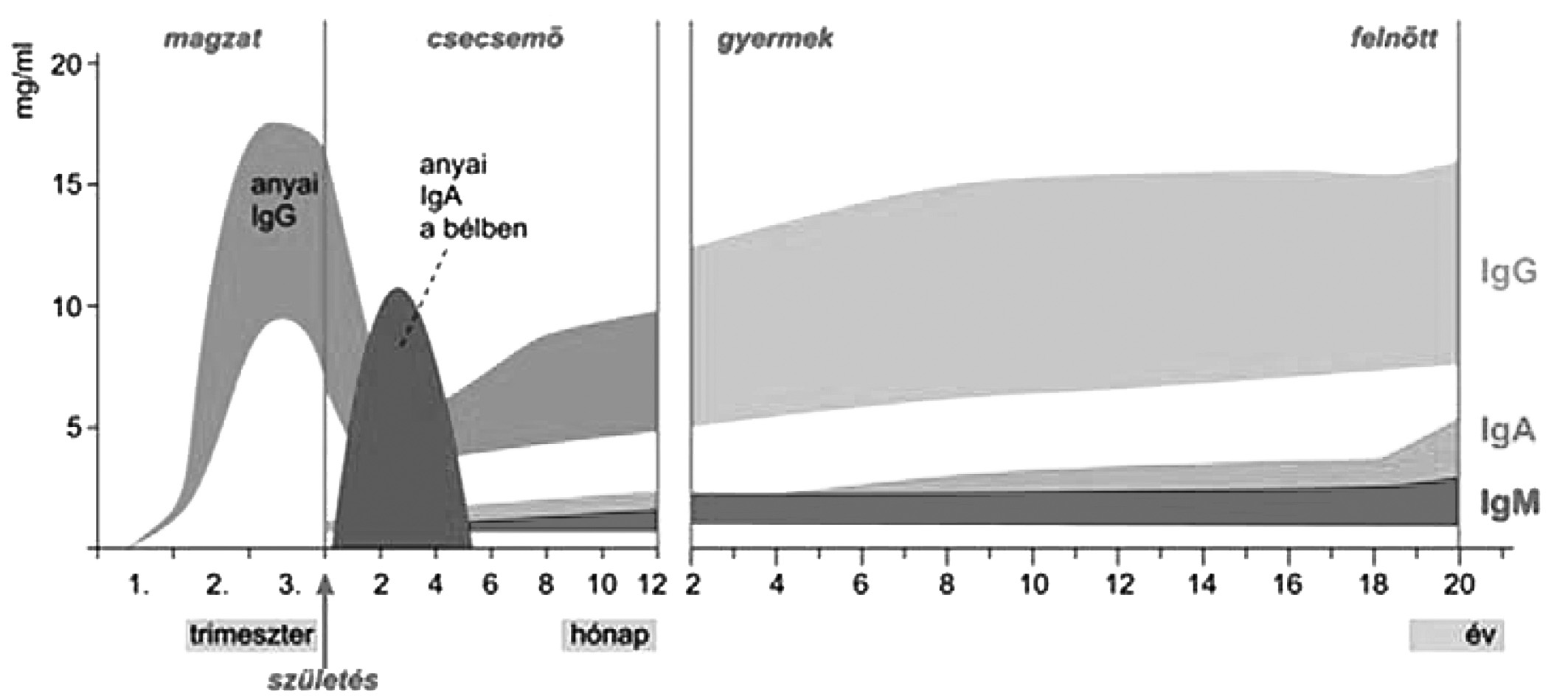 IgM-dúsított intravénás immunglobulin neonatológiai... IgM-dúsított intravénás immunglobulin neonatológiai és gyermekgyógyászati alkalmazása Dr.