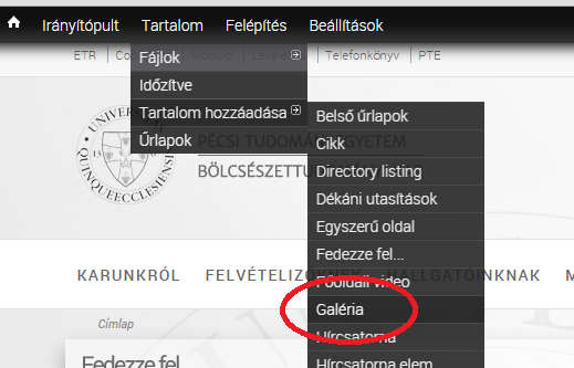 A cím lehet bármi, de javasolt a Fedezze fel cím (mivel egy ilyen tartalom érhető el egyszerre a honlapon, ezért nem fog kavarodást okozni).