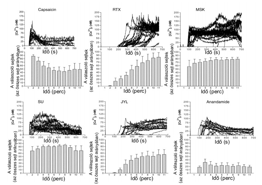 és MSK-195 jelű molekulák inkább kapszaicin-szerű választ adtak, míg a JYL-79 és az anandamid inkább a resiniferatoxinra jellemző viselkedést mutatott (9. ábra). 9.