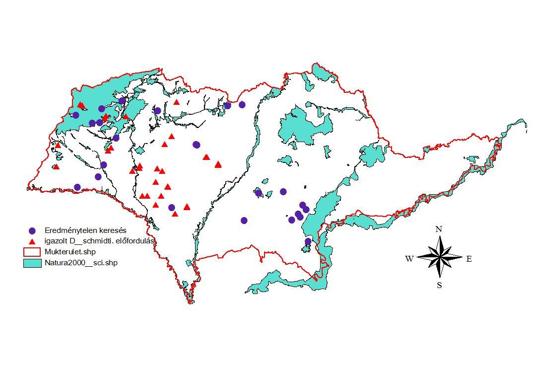 Magyar tavaszi fésűsbagoly (Dioszeghyana schmidti) kutatási eredmények