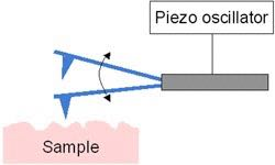 Rugólap méretei Rugólapkák készítése 1-4 μm,3-2 μm 1-2 μm AFM alapok Pásztázó képalkotás Képalkotási módok Oszcillációs mód biológiai minták esetében ideális.