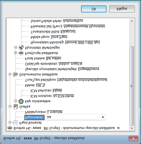 Illesztőprogram és szoftver Speciális opciók 2 A speciális beállítások párbeszédpanel a Speciális... gombra kattintva érhető el, amely az Elrendezés lapon és a Oldalbeállítás lapon található.